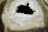 Triassic Petrified Wood (Woodworthia) Round - Zimbabwe #167955-1